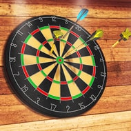 Darts Pro img